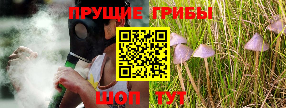 Галлюциногенные грибы Psilocybine cubensis Новочебоксарск