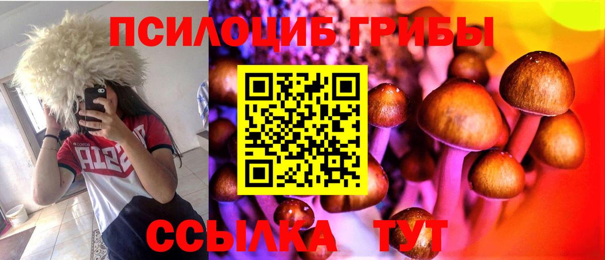 цена   Псилоцибиновые грибы Psilocybe  Вход с VPN  Новочебоксарск 